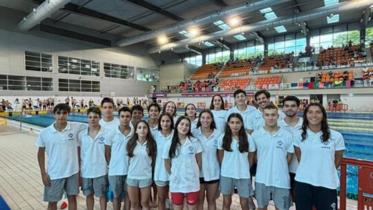 Campeonato Interdistrital de Juvenis, Juniores, Seniores e Absolutos
