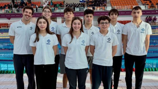 Torneio Especialista